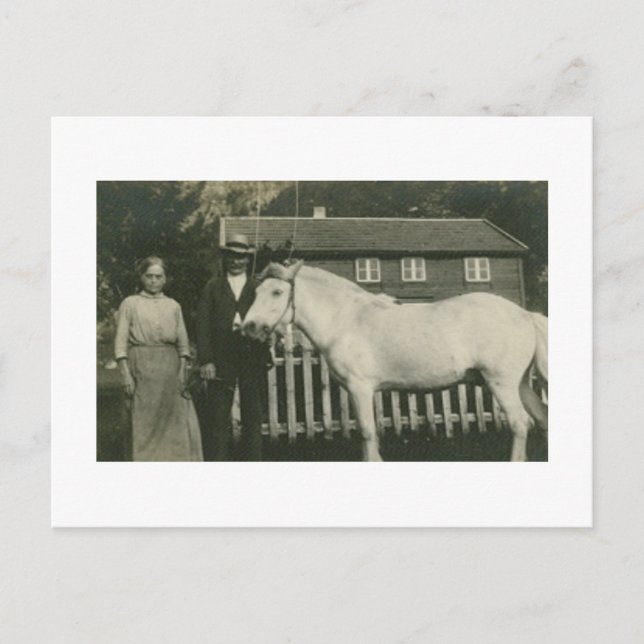 Antikes Real Foto Norwegische Bauer Postkarte (Vorderseite)