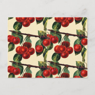 Antikes rotes Kirschfrucht-Wallpaper-Design Postkarte