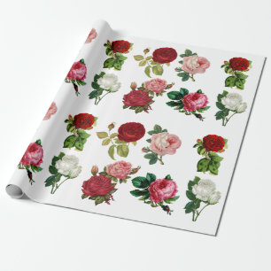 Antikes rotes rosa und weißes Rosenverpackungspapi Geschenkpapier