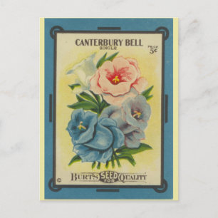 Antikes Saatgutpäckchen Canterbury Glockenblumen Postkarte