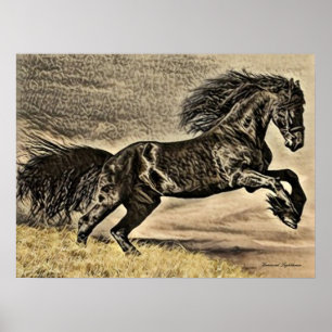 Antikes schwarzes Hengst-Pferd Poster