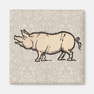Antikes Schwein Süßes Vintage-Illustration Magnet
