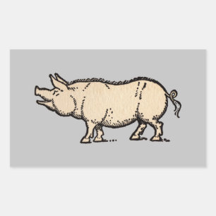 Antikes Schwein Süßes Vintage-Illustration Rechteckiger Aufkleber