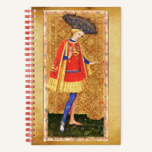ANTIKES TAROT PAGE UND RITTER DER KELCHE NOTIZBUCH