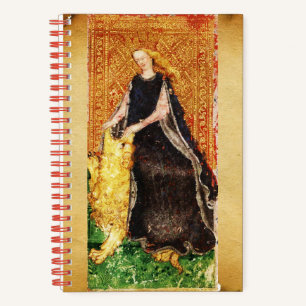 ANTIKES TAROT / STÄRKE UND TEUFEL TAROT NOTIZBUCH