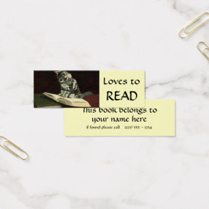 Antikes Tier, süße viktorianische Katze beim Lesen