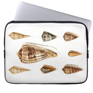 Antikes Trinket-Design mit Muscheln Laptopschutzhülle
