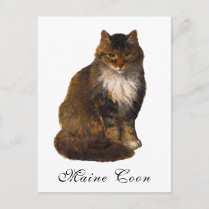 Antikes Viktorianisches Maine Coon Cat Portrait Ma Postkarte