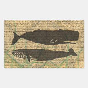 Antikes Walfisch-Marine-Vintage-Ozean-Meeresleben Rechteckiger Aufkleber