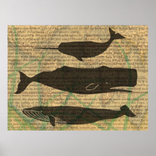 Antikes Walfisch-Maritimes: Vintage Meeresleben Poster