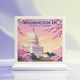 Antikes Washington D.C. Fliese