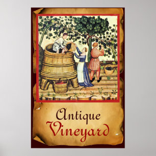 ANTIKES WEINBERG-ERNTE-PERGAMENT POSTER