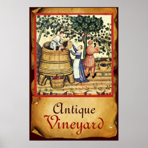 ANTIKES WEINBERG-ERNTE-PERGAMENT POSTER