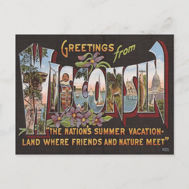 Antikes Wisconsin Postkarte (Vorderseite)