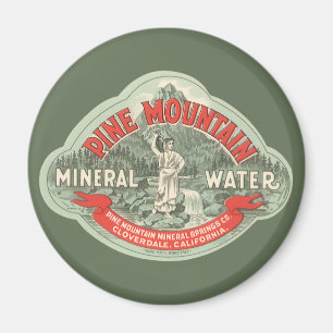 Antiketiket, Pine Mountain Mineralwasser Magnet