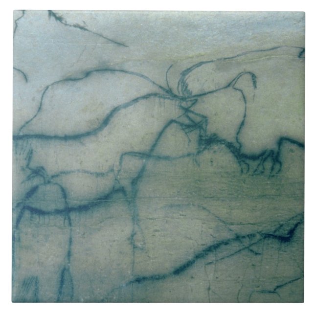 Antilope und Bison, Perigordian (Höhlenmalerei) Fliese (Vorderseite)