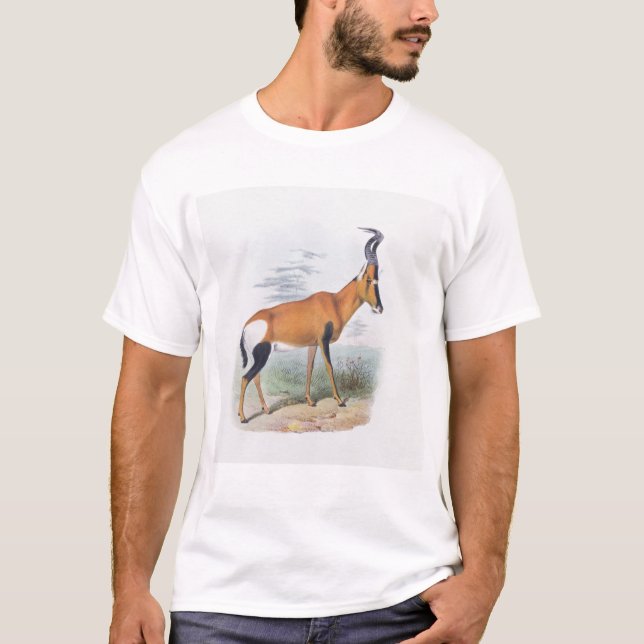 Antilope, "vom Buch der Antilopen", T-Shirt (Vorderseite)