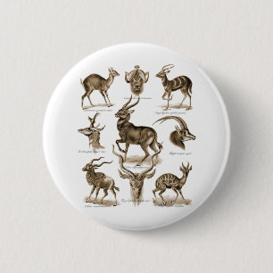Antilopen Button