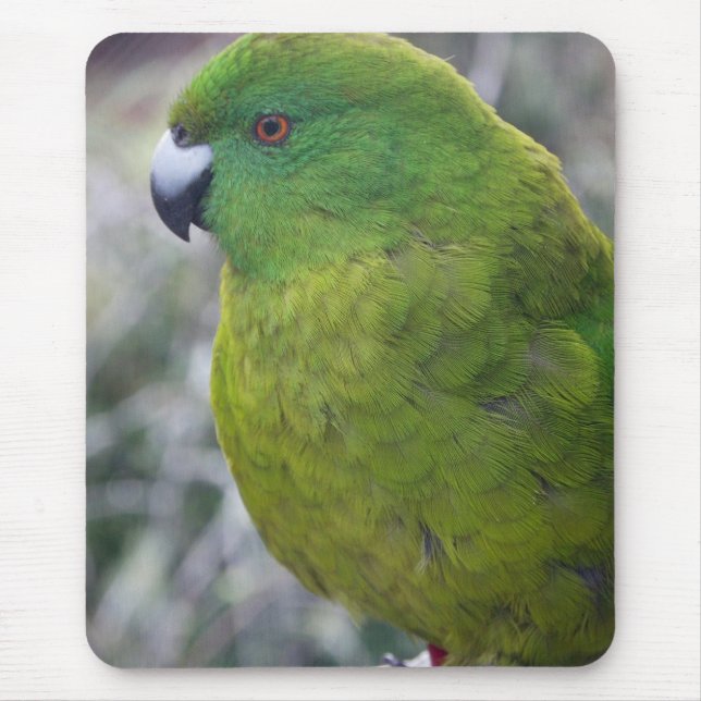 Antipode-InselParakeet Mousepad (Vorne)