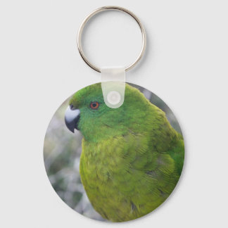 Antipodes Island Parakeet Schlüsselanhänger