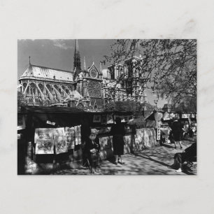 Antiquare der Vintagen Stadt Paris Dame Postkarte