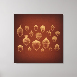 Antique Acorn Kunst, Illustriertes Vintages Acorn Leinwanddruck