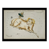Antique Aries Astronomisches Diagramm Zodiac Astro