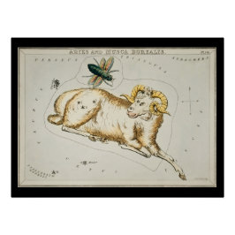 Antique Aries Astronomisches Diagramm Zodiac Astro Poster