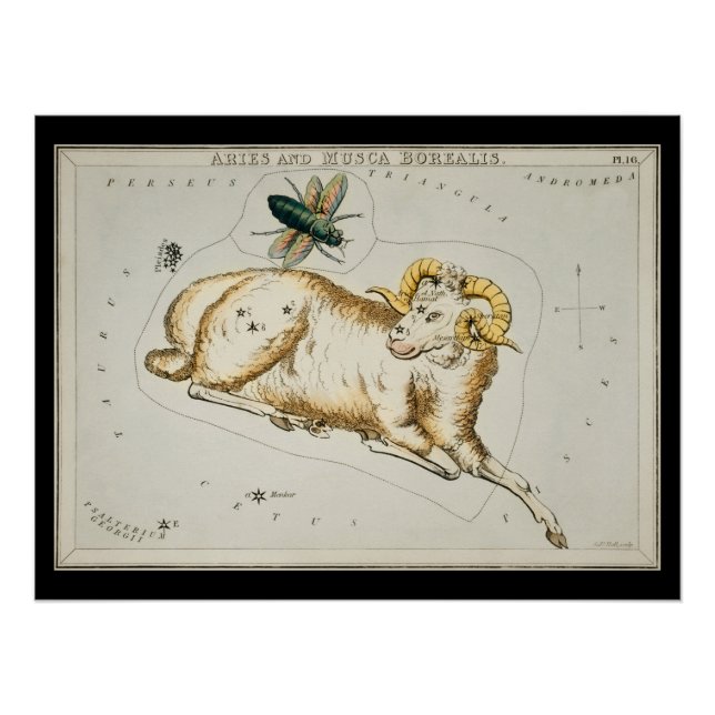 Antique Aries Astronomisches Diagramm Zodiac Astro Poster (Vorderseite)