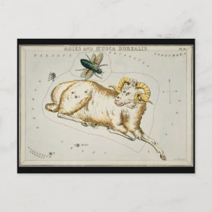 Antique Aries Astronomisches Diagramm Zodiac Astro Postkarte