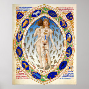 ANTIQUE ASTROLOGIE , MIKROKOSMOS UND ZODIAKALZEICH POSTER