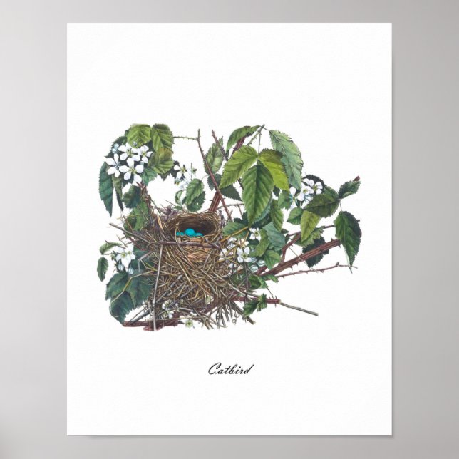 Antique Bird Nest #2 Shabby Chic Wohngestaltung Ar Poster (Vorne)