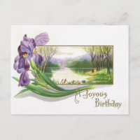 Antique Birthday Post-Card-Lila Iris-Blume