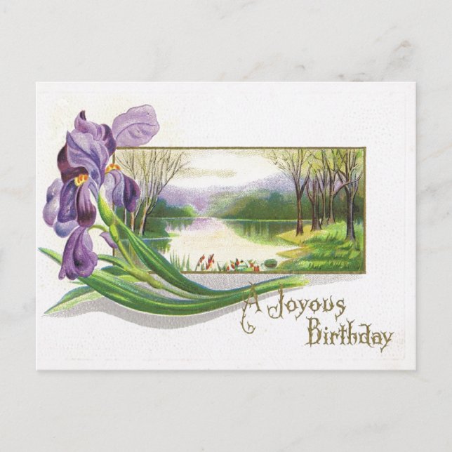 Antique Birthday Post-Card-Lila Iris-Blume Postkarte (Vorderseite)