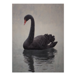 Antique Black Swan Art Print Poster