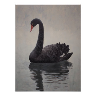 Antique Black Swan Art Print Poster