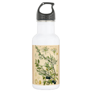 Antique Blackthorn Botanische Print Blume Berry Edelstahlflasche