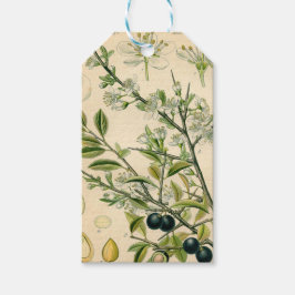Antique Blackthorn Botanische Print Blume Berry Geschenkanhänger