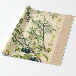 Antique Blackthorn Botanische Print Blume Berry Geschenkpapier
