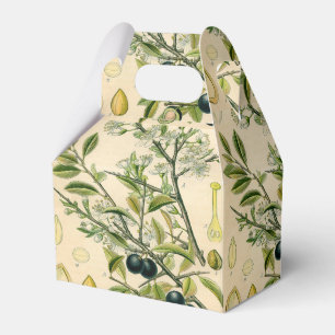 Antique Blackthorn Botanische Print Blume Berry Geschenkschachtel