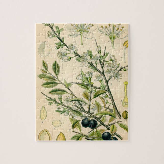 Antique Blackthorn Botanische Print Blume Berry Puzzle (Vertikal)