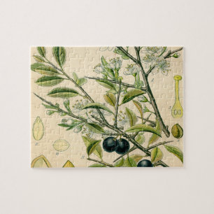 Antique Blackthorn Botanische Print Blume Berry Puzzle