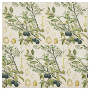 Antique Blackthorn Botanische Print Blume Berry Stoff