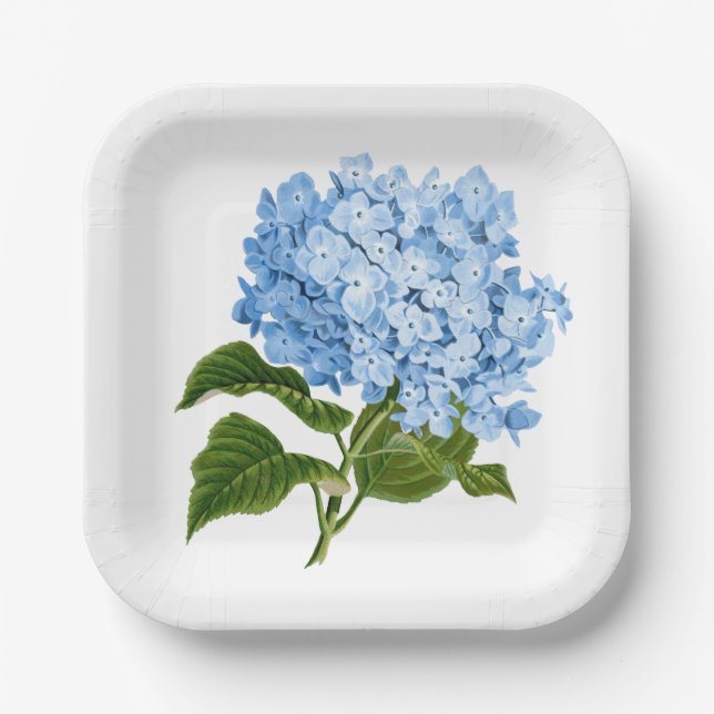 Antique Blue Hydrangea Blossom Pappteller (Vorderseite)