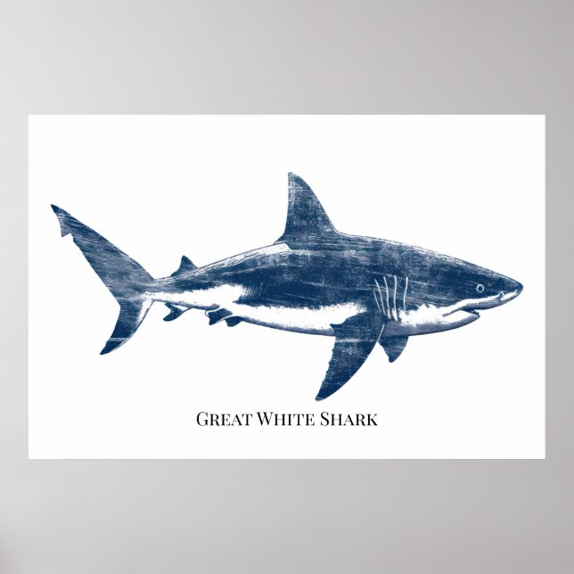 Antique  drawing of a shark poster (Vorne)
