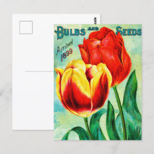 Antique Garden Advertising, Gelbe Rote Tulpen Postkarte