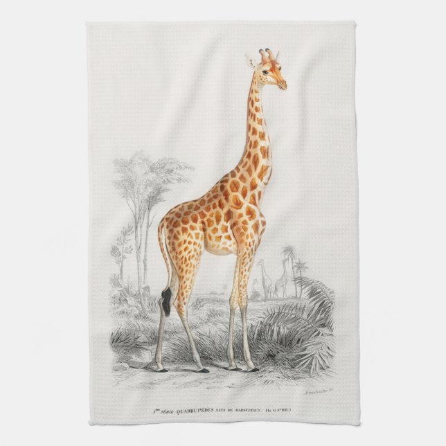 Antique Giraffe Naturgeschichte Orbigne Geschirrtuch (Vertikal)