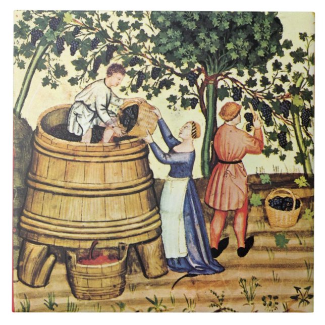 ANTIQUE GRAPE VINEYARD HARVEST FLIESE (Vorderseite)