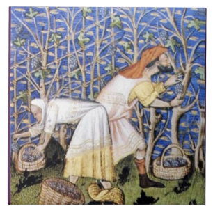ANTIQUE GRAPE VINEYARD HARVEST FLIESE