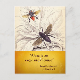 ANTIQUE HONEY BIE BEEKEEPER, HALTUNG POSTKARTE